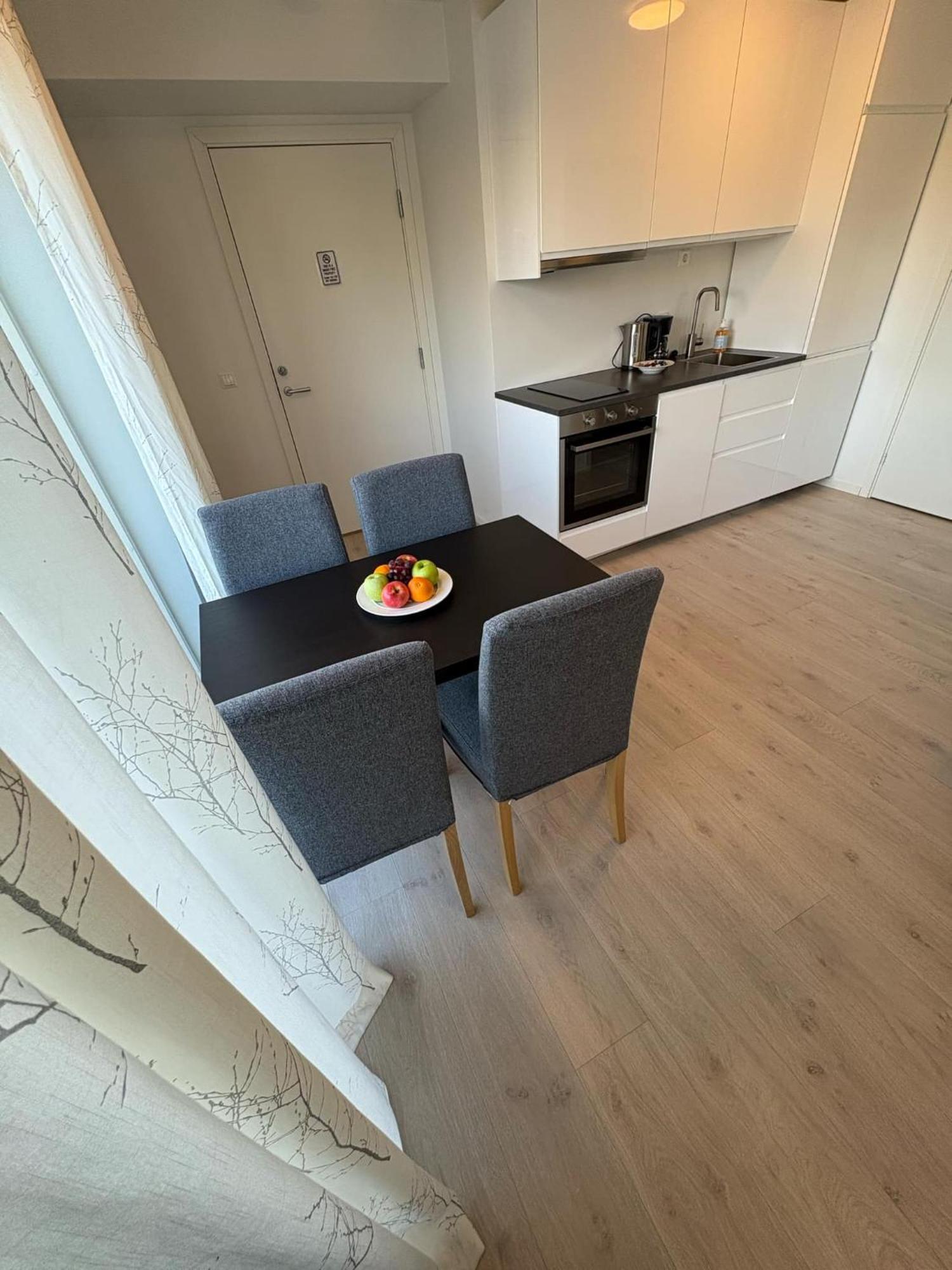 Lisas Apartment, Private New 1 Bedroom And 1 Living Room With Sofa Bed And Big Windows, Share With Nobody オスロ エクステリア 写真